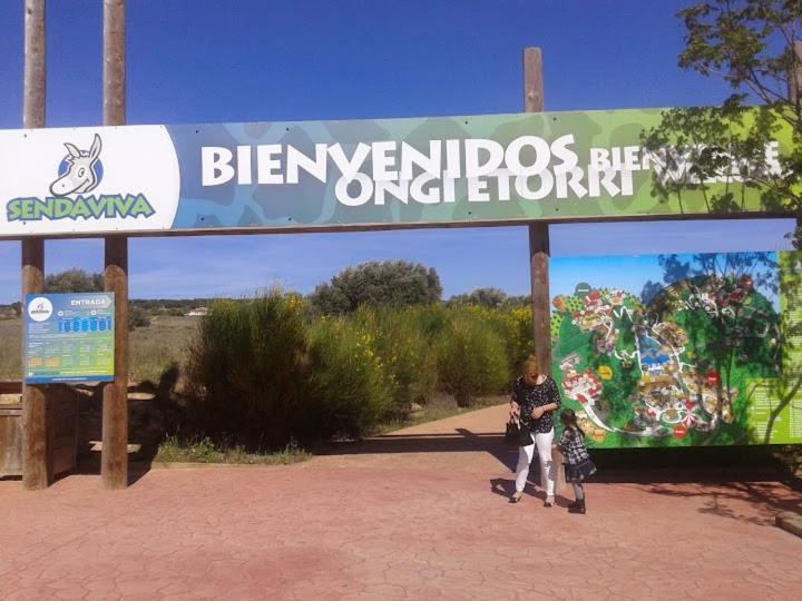 Atico Entero Con Habitacion En Corella Kültér fotó